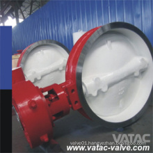 Fluorine Lined/PFA/Pfp Liner A351 CF8/Ss304/Wcb Waferlug&Flanged Butterfly Valve